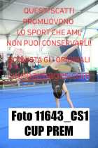 11643_CS1-CUP-PREM