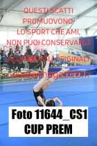 11644_CS1-CUP-PREM