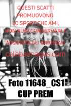 11648_CS1-CUP-PREM