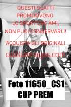 11650_CS1-CUP-PREM