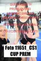 11651_CS1-CUP-PREM