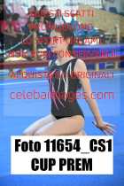 11654_CS1-CUP-PREM