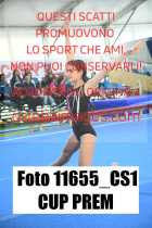 11655_CS1-CUP-PREM
