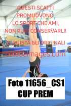 11656_CS1-CUP-PREM