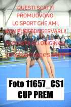 11657_CS1-CUP-PREM