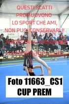 11663_CS1-CUP-PREM