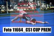 11664_CS1-CUP-PREM