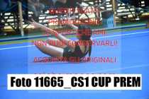 11665_CS1-CUP-PREM