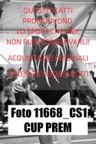 11668_CS1-CUP-PREM