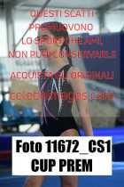 11672_CS1-CUP-PREM