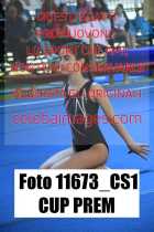 11673_CS1-CUP-PREM