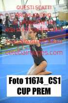 11674_CS1-CUP-PREM
