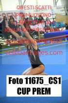 11675_CS1-CUP-PREM