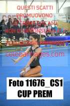 11676_CS1-CUP-PREM