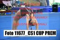 11677_CS1-CUP-PREM