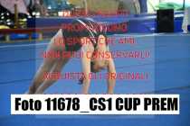 11678_CS1-CUP-PREM