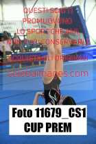 11679_CS1-CUP-PREM