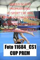 11684_CS1-CUP-PREM