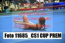 11685_CS1-CUP-PREM