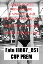 11687_CS1-CUP-PREM