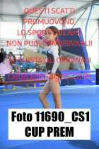 11690_CS1-CUP-PREM