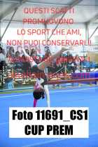 11691_CS1-CUP-PREM