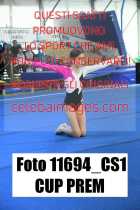 11694_CS1-CUP-PREM