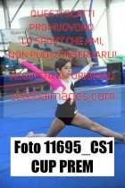 11695_CS1-CUP-PREM