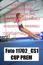 11702_CS1-CUP-PREM