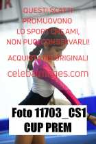 11703_CS1-CUP-PREM