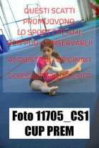 11705_CS1-CUP-PREM