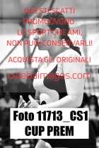 11713_CS1-CUP-PREM