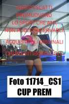 11714_CS1-CUP-PREM