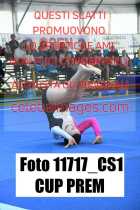 11717_CS1-CUP-PREM