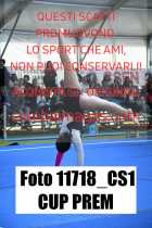 11718_CS1-CUP-PREM
