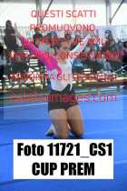 11721_CS1-CUP-PREM