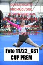 11722_CS1-CUP-PREM