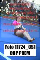 11724_CS1-CUP-PREM