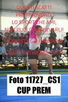 11727_CS1-CUP-PREM