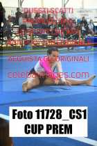 11728_CS1-CUP-PREM