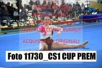 11730_CS1-CUP-PREM