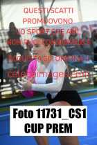 11731_CS1-CUP-PREM