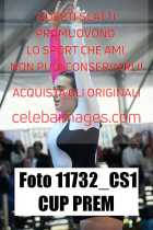 11732_CS1-CUP-PREM