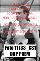 11733_CS1-CUP-PREM