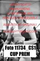 11734_CS1-CUP-PREM