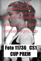 11736_CS1-CUP-PREM