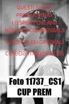 11737_CS1-CUP-PREM