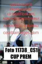 11738_CS1-CUP-PREM