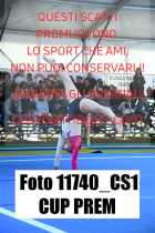 11740_CS1-CUP-PREM