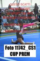 11742_CS1-CUP-PREM